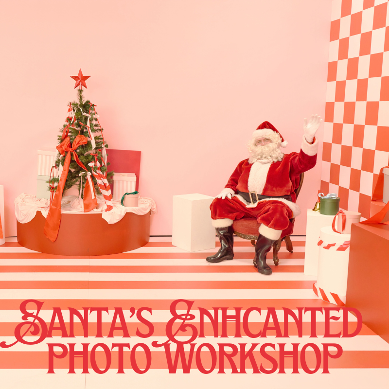 Santa Photo Experience